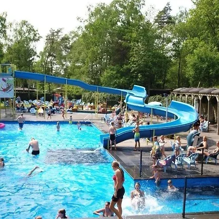 Bosgeluk * Hoenderloo