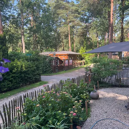 Chalet Bosgeluk *