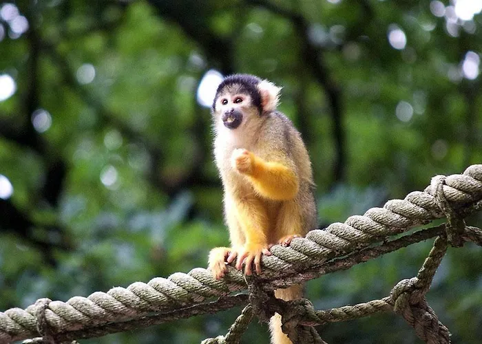 Horská chata Bosgeluk Hoenderloo