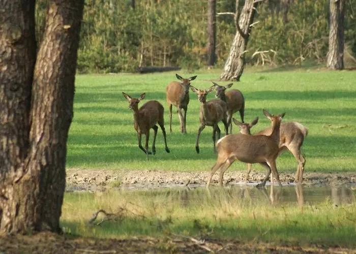Bosgeluk Horská chata