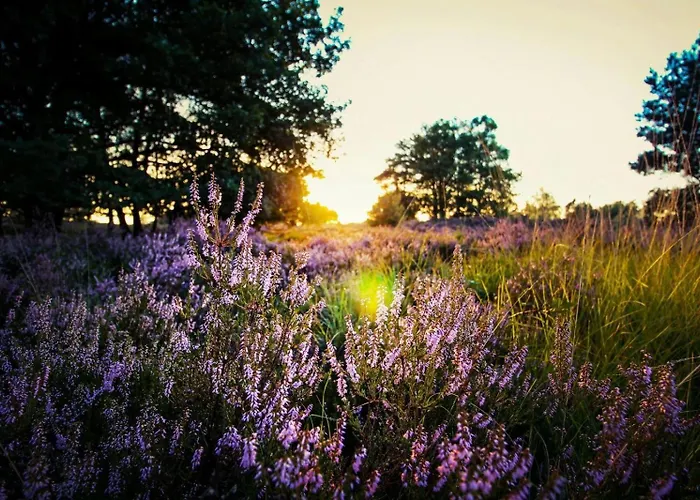 Bosgeluk Horská chata Hoenderloo