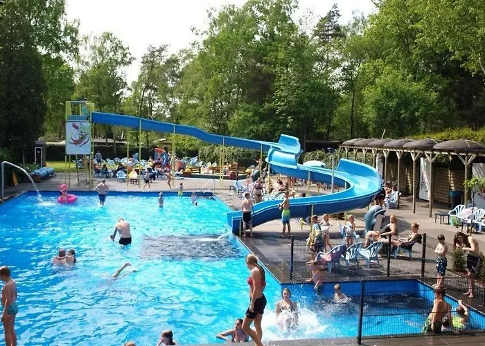 Bosgeluk * Hoenderloo