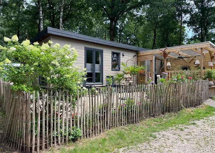 Chalet Bosgeluk Hoenderloo